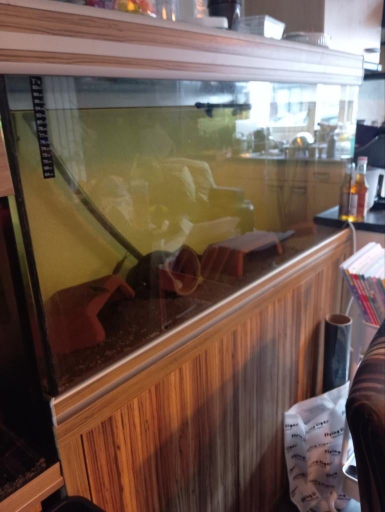 Aqarium 120cm met onderkast, Ophalen, Zo goed als nieuw