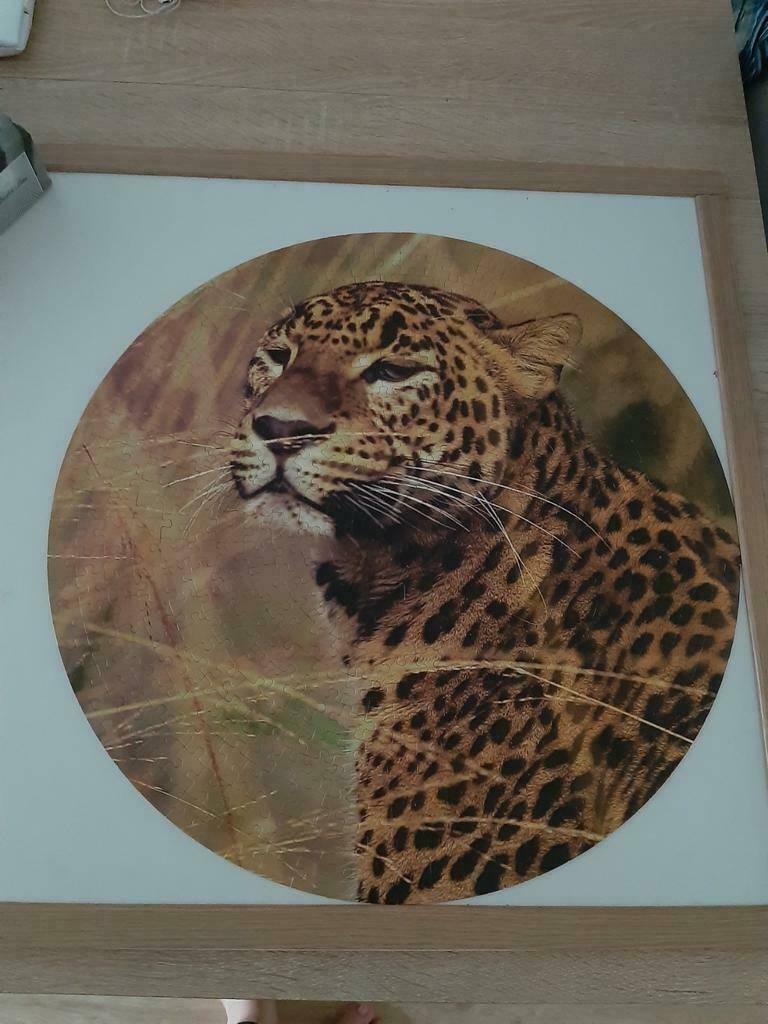 Nieuwe Wild Life Panter puzzel 500 stukjes, Hobby en Vrije tijd, Denksport en Puzzels, Ophalen of Verzenden, 500 t/m 1500 stukjes