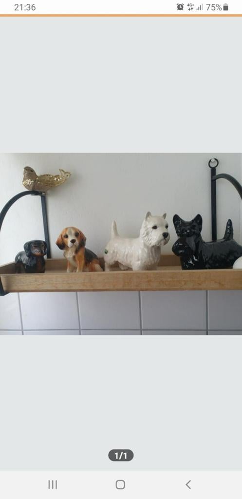 Hondenbeeld, Tuin en Terras, Tuinbeelden, Ophalen