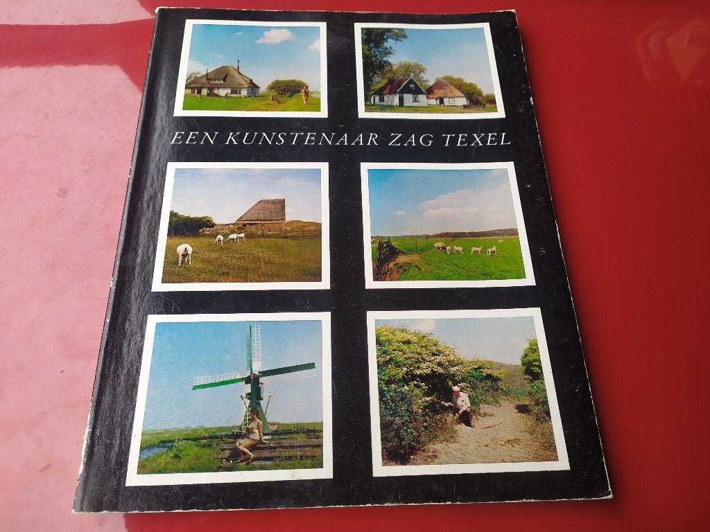 Een kunstenaar zag Texel, Boeken, Ophalen of Verzenden, Gelezen