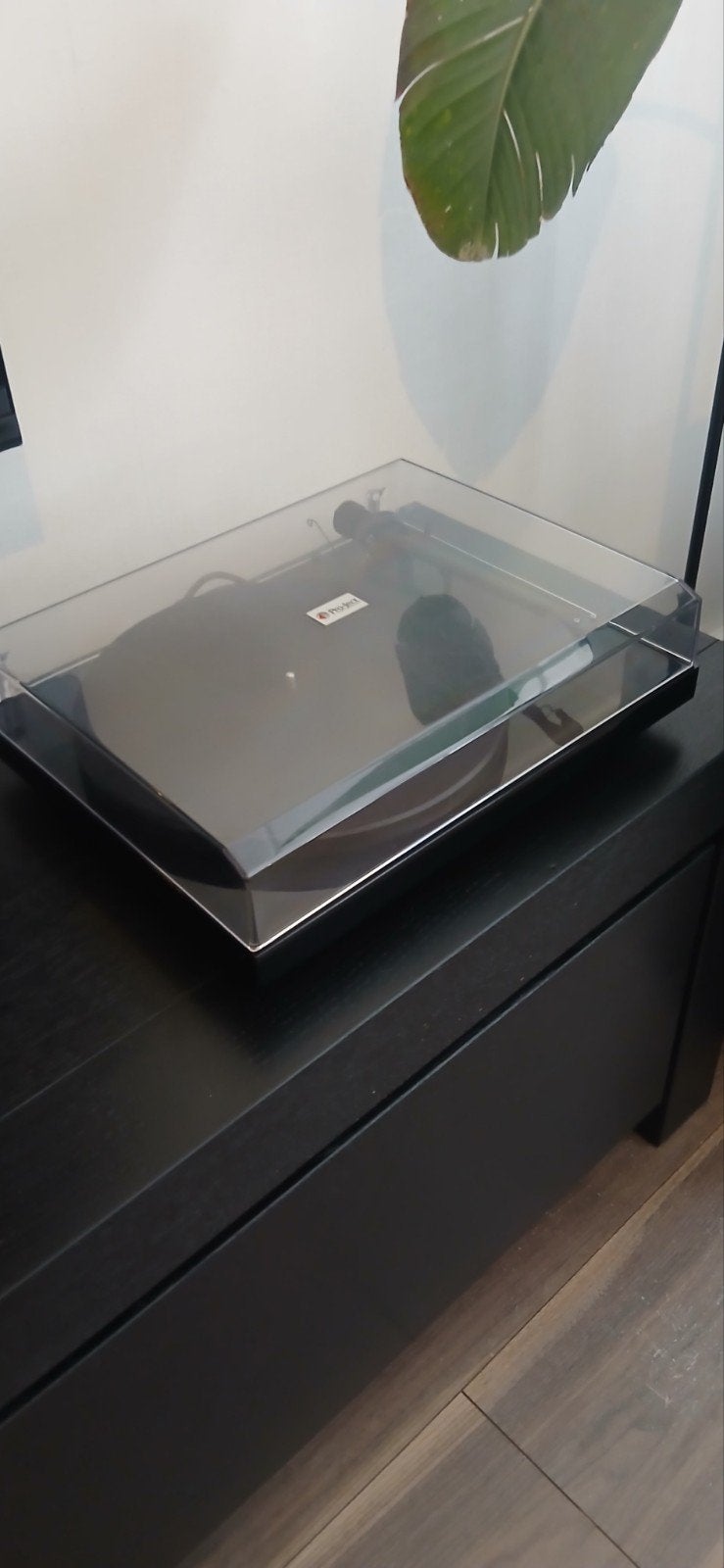 Project debut carbon., Audio, Tv en Foto, Platenspelers, Ophalen, Overige merken