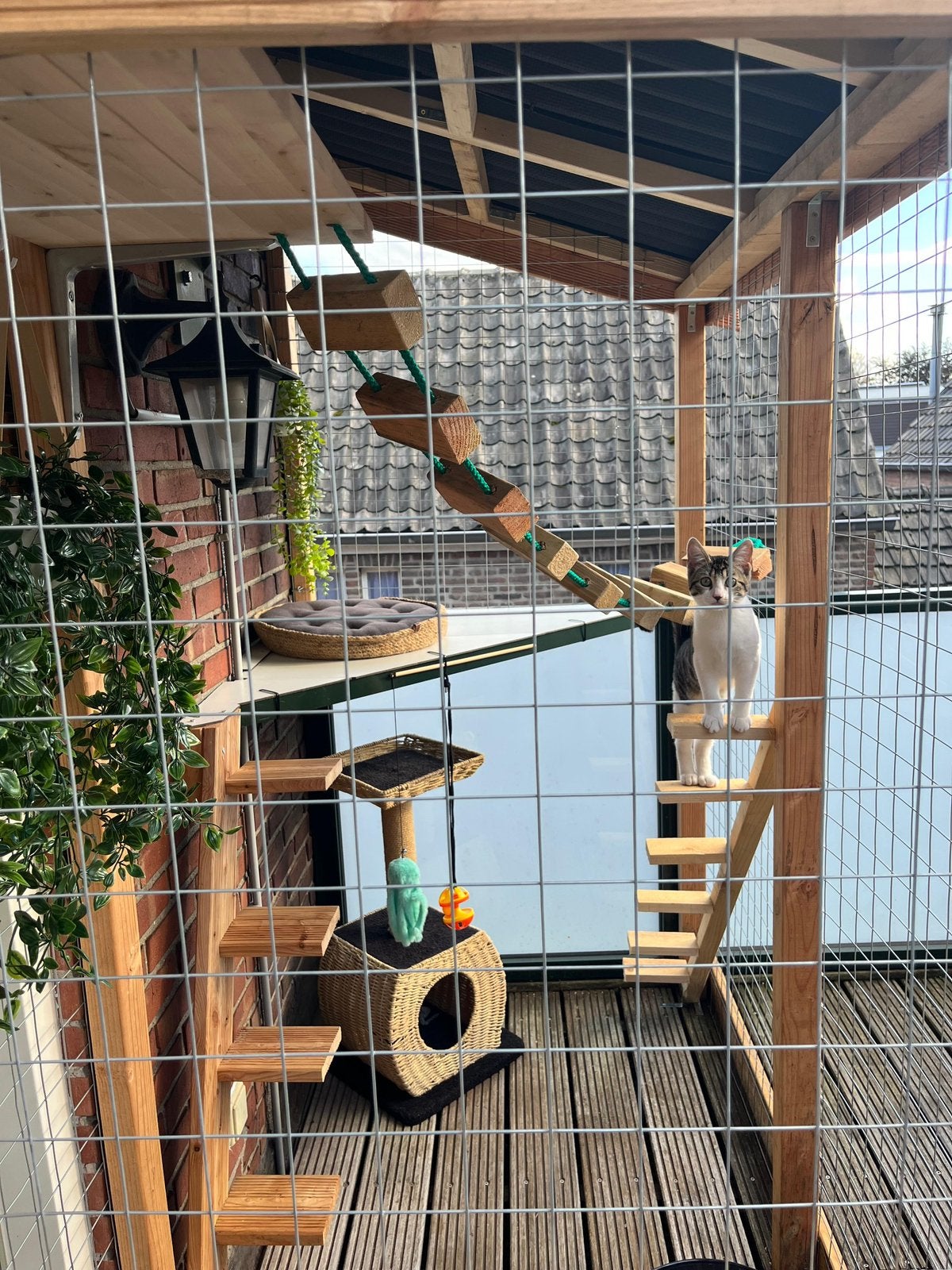 Houten dierenverblijf, Meerdere dieren
