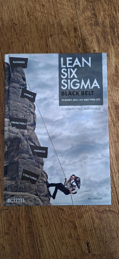 Climbing the mountain lean six sigma black belt, Boeken, Ophalen of Verzenden, Beta, H.C. Theisens, WO
