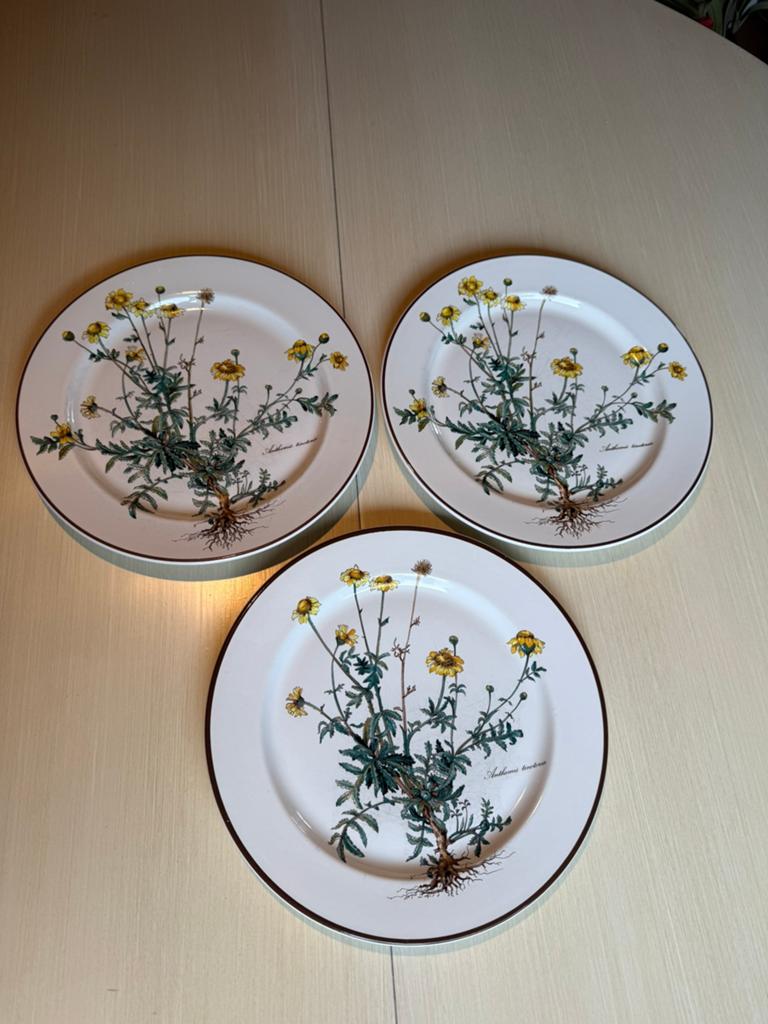 Villeroy & Boch- Botanica dinerborden en ontbijtborden, Ophalen
