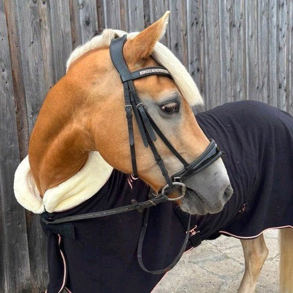 Prachtige allround haflinger ruin, Dieren en Toebehoren, Paarden, Minder dan 160 cm, Met stamboom, Ruin, M