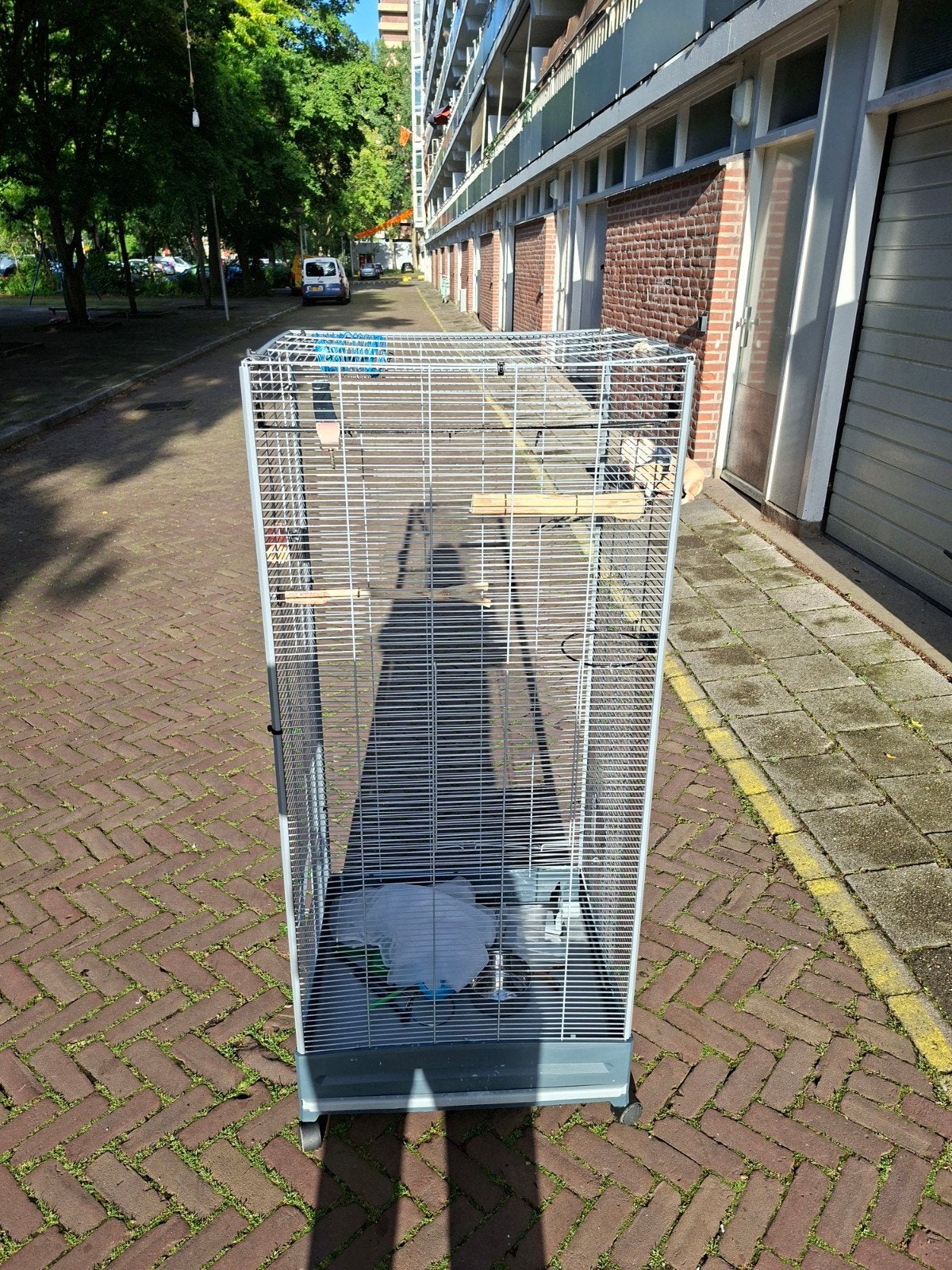 Grote vogel kooi, Dieren en Toebehoren, Vogels | Hokken en Kooien, Ophalen of Verzenden, Gebruikt, Metaal, Vogelkooi