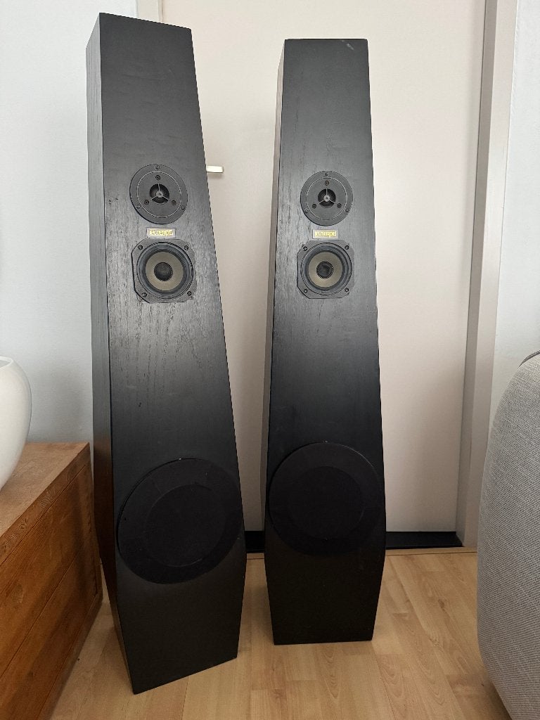 2 Euterpe luidsprekerboxen, Audio, Tv en Foto, Vloerstaande luidspreker, Gebruikt, Minder dan 60 watt, Ophalen