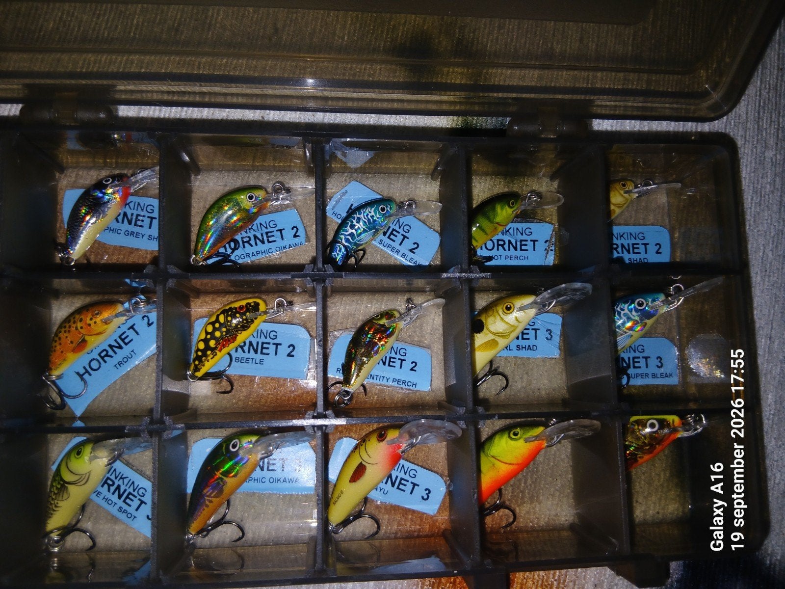 Rozemeijer Tackle Tainer met Salmo Hornet 2 & 3 Sinking, Ophalen of Verzenden, Zo goed als nieuw, Overige typen