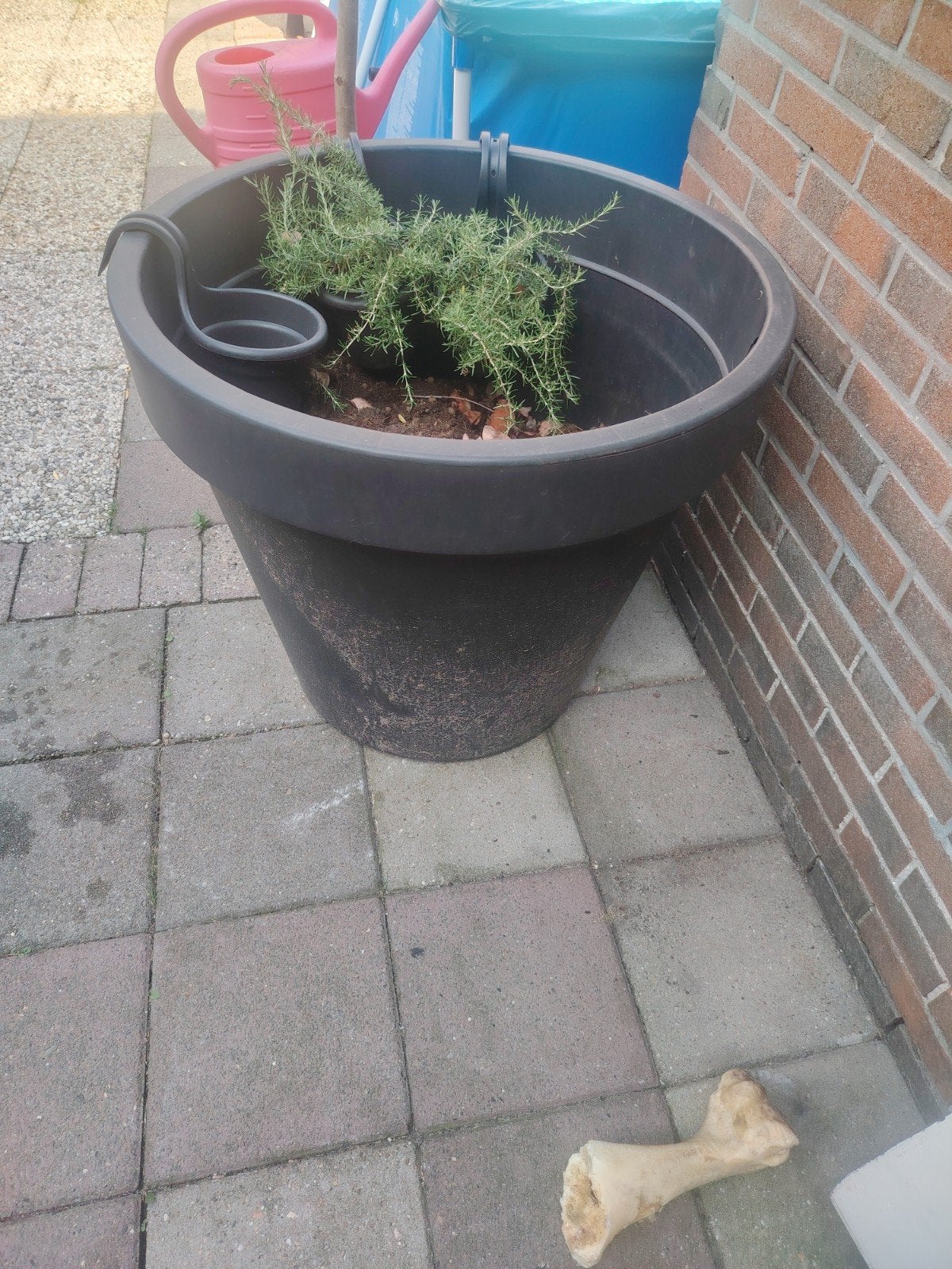 Hele grote planten bak, Ophalen, Kunststof, Gebruikt, Rond