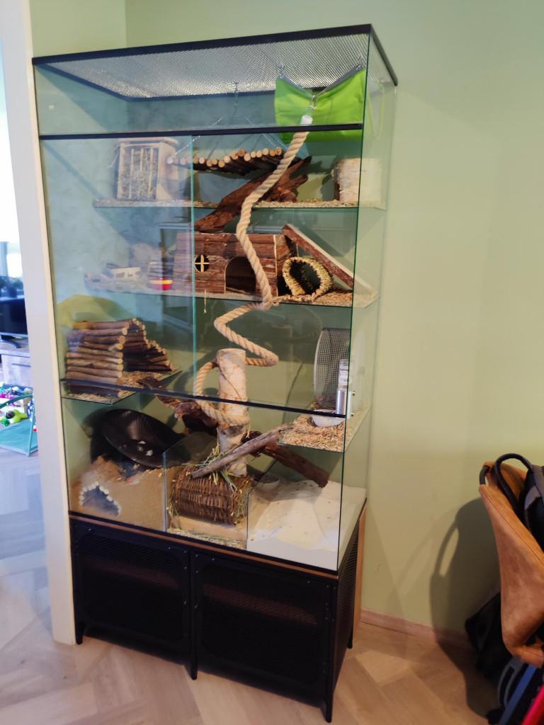 Grote glazen kooi voor chinchilla of degoe, Ophalen of Verzenden, 90 cm of meer, Chinchilla, Hok