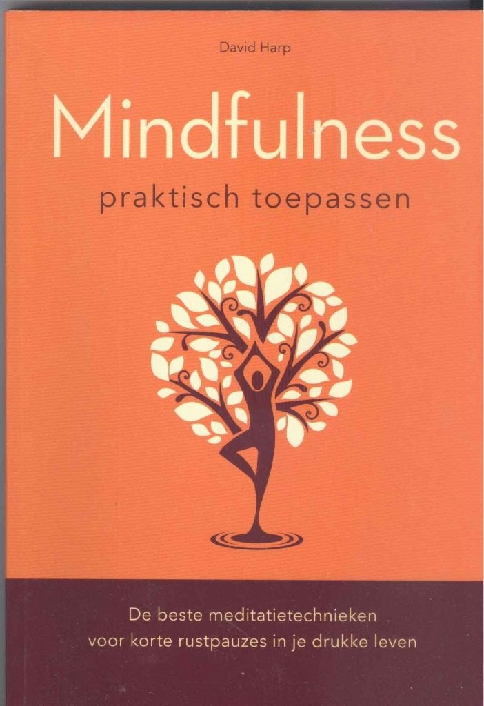 Harp, D. - Mindfulness praktisch toepassen, Ophalen of Verzenden, Gelezen, Meditatie of Yoga, Instructieboek