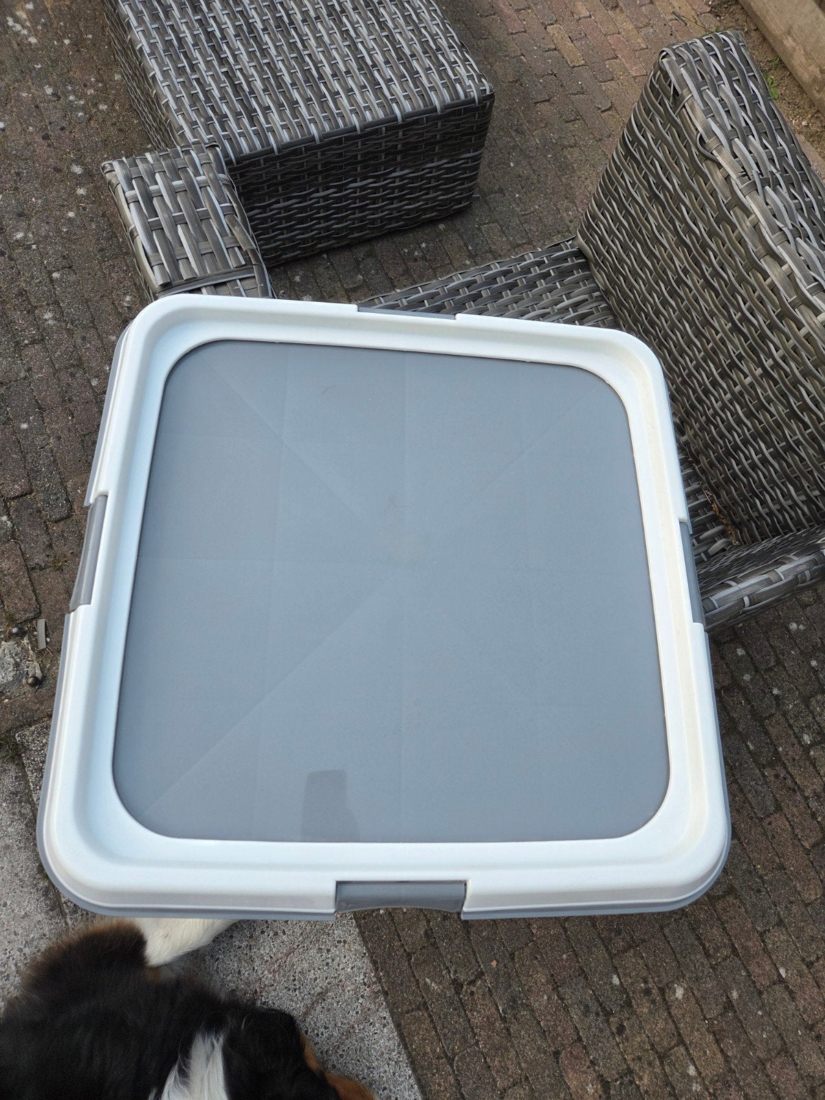 trainingsmat Houder 60 x 60, Dieren en Toebehoren, Ophalen, Zo goed als nieuw