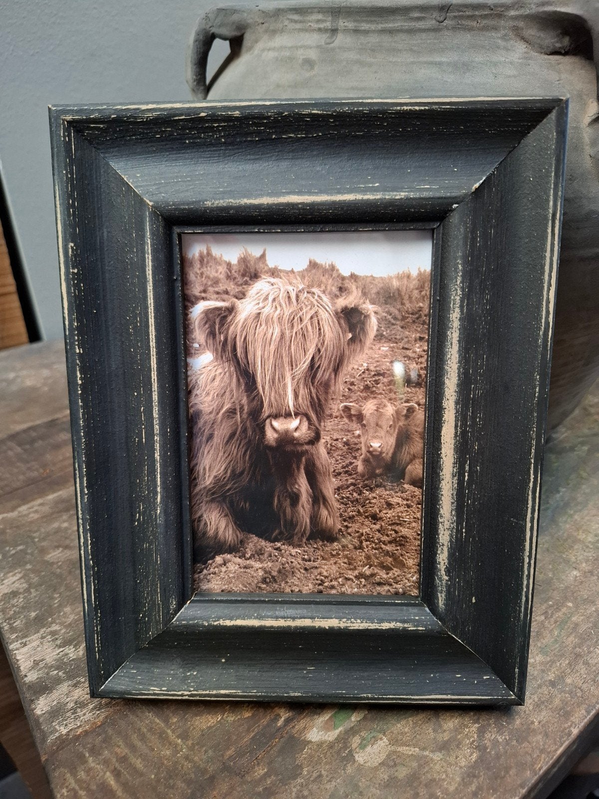 mooie fotolijst met hooglander, Ophalen of Verzenden