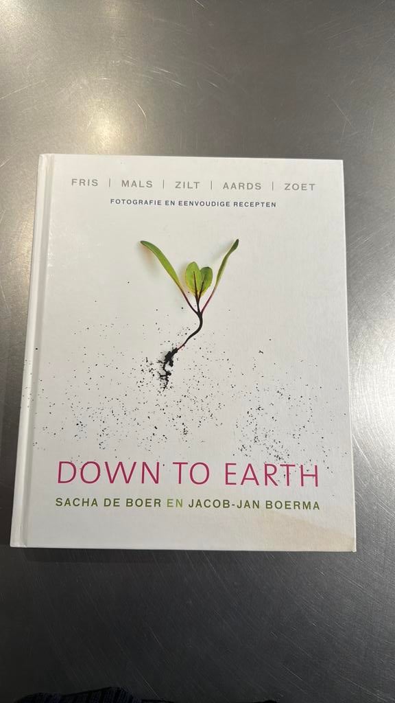 Sacha de Boer - Down to earth, Boeken, Ophalen of Verzenden, Zo goed als nieuw, Sacha de Boer; Jacob-Jan Boerma