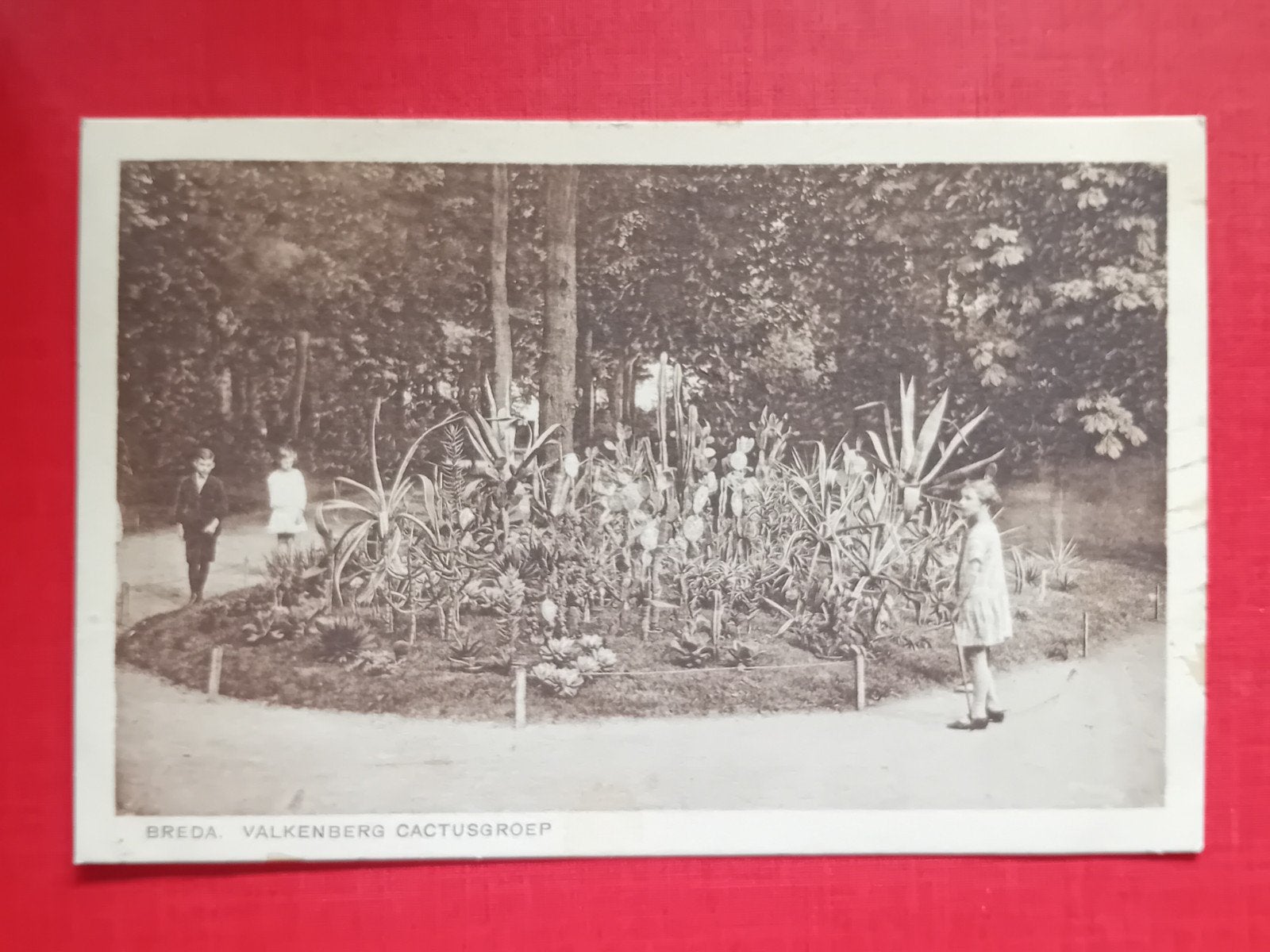 Ansichtkaart Breda, Ophalen of Verzenden, 1920 tot 1940, Noord-Brabant