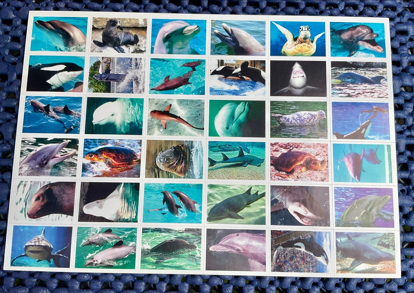 Stickervel met diverse waterdieren - De Stulp 2007, Ophalen of Verzenden, Zo goed als nieuw, Meerdere stickers