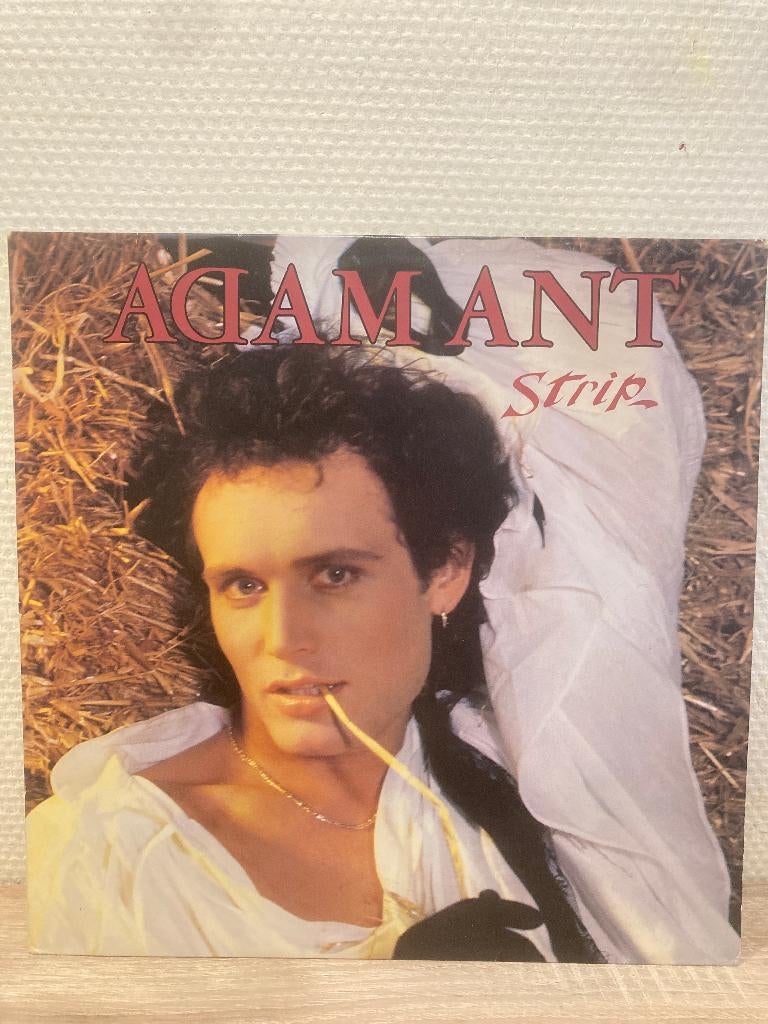 Adam Ant - strip LP original innersleeve, Ophalen of Verzenden, Zo goed als nieuw, 12 inch