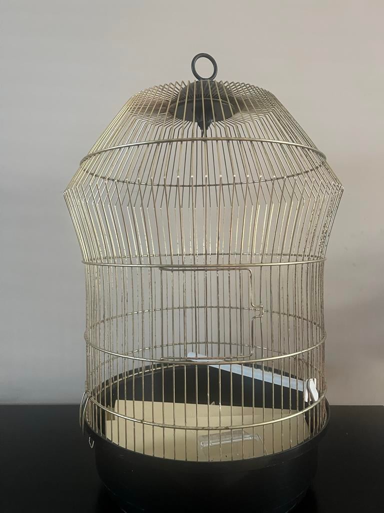 Ferplast diva antiek Gouden vogelkooi, Dieren en Toebehoren, Ophalen of Verzenden, Gebruikt, Metaal, Vogelkooi