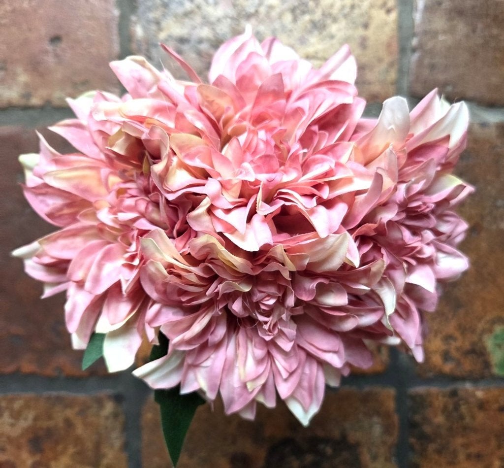 BOEKETJE - KUNST - DAHLIA - 3 KLEUREN, Ophalen of Verzenden, Nieuw