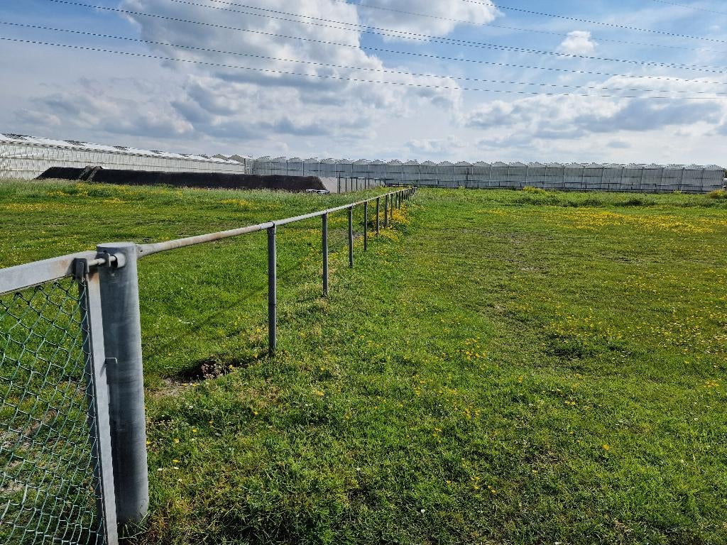 170 meter hekwerk ronde ijzeren palen met bovenligger, Tuin en Terras, Tuinhekken en Hekwerk, Gebruikt, Sierhekwerk, IJzer, Met poort