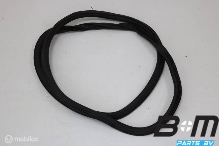 Portierrubber links of rechtsachter Audi A4 8W 8W9833721, Gebruikt