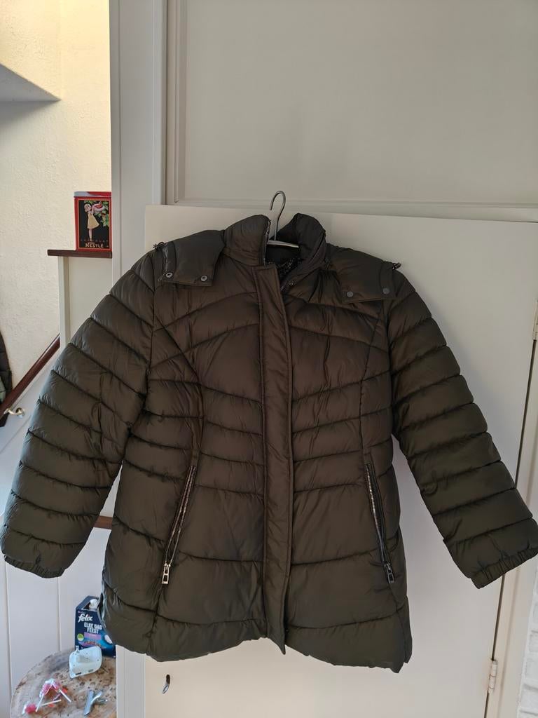 Groene Gewatteerde Jas Gerry Weber, Kleding | Dames, Grote Maten, Ophalen of Verzenden, Groen, Jas of Mantel, Onbekend