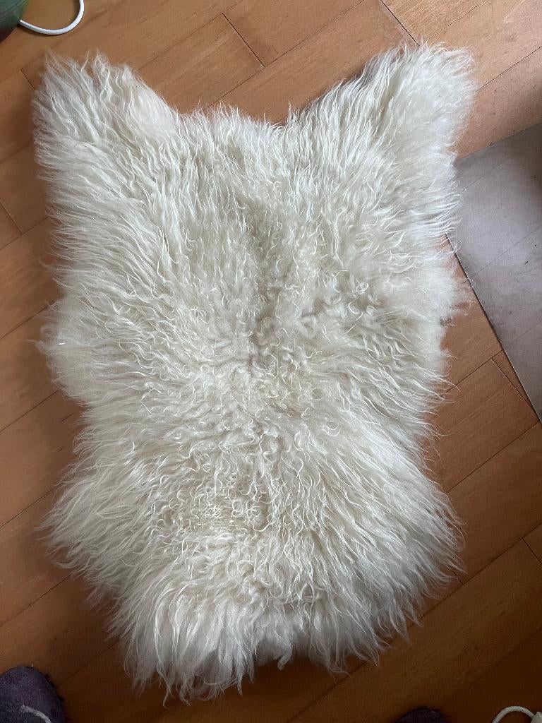 schapenvacht, Ophalen, 50 tot 100 cm, Nieuw, 50 tot 100 cm