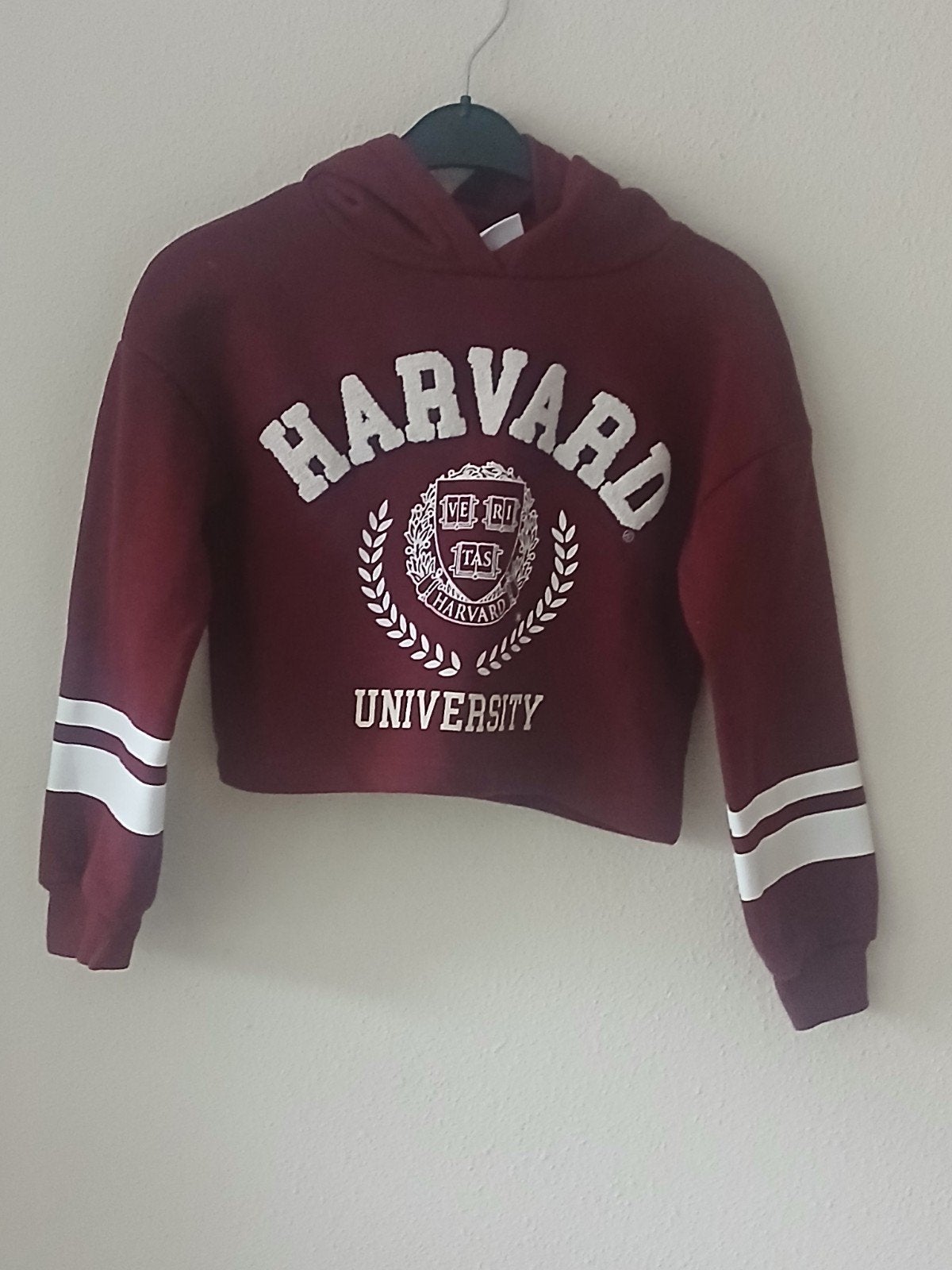 Kinder sweater met capuchon, Kinderen en Baby's, Kinderkleding | Maat 128, Jongen of Meisje, Trui of Vest, Harvard, Ophalen of Verzenden