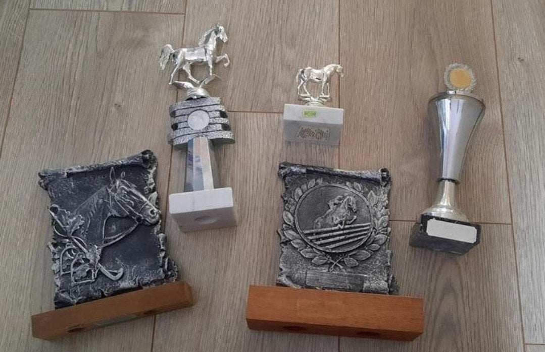 Paarden trofeeën/ bekers
Wedstrijd trofee, Ophalen