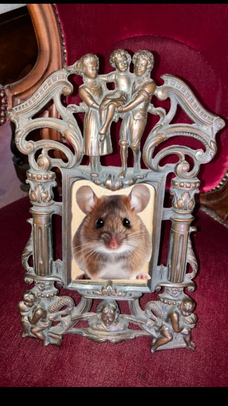 Fraaie grote fotolijst., Ophalen of Verzenden