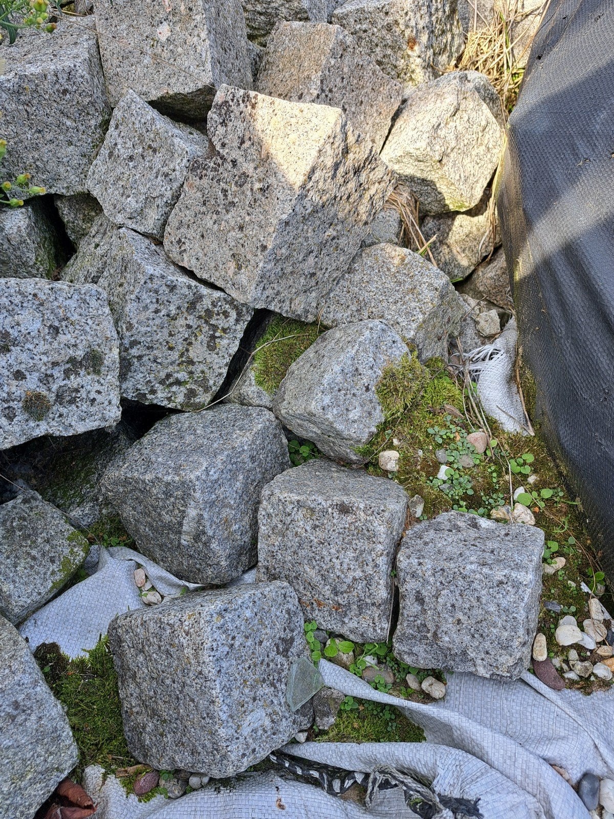 Gebruikte granieten kasseien voor tuin of oprit, Ophalen, Gebruikt, Graniet, Kei
