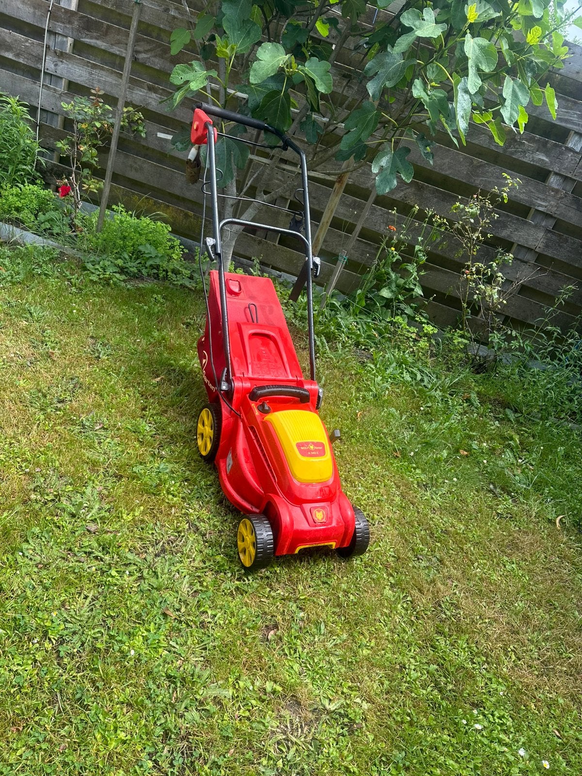 Te koop goede elektrische grasmaaier van Wolf, Tuin en Terras, Ophalen of Verzenden, Zo goed als nieuw