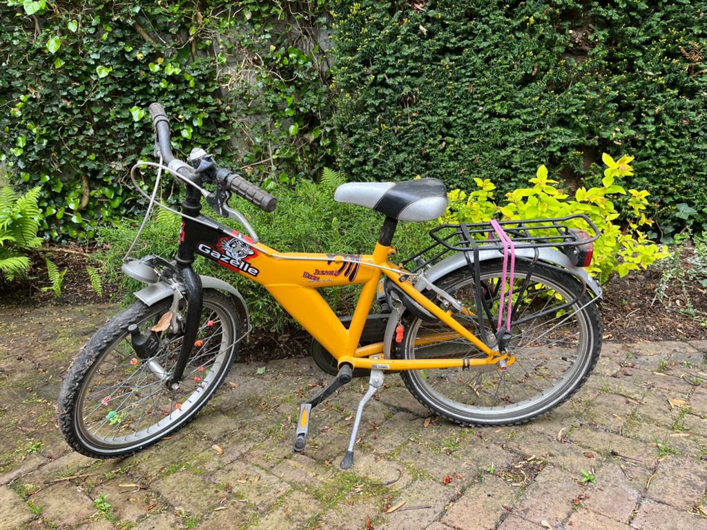 Gazelle Jungle Bike kinderfiets, Fietsen en Brommers, Fietsen | Jongens, Ophalen, Gebruikt, Terugtraprem, 20 inch