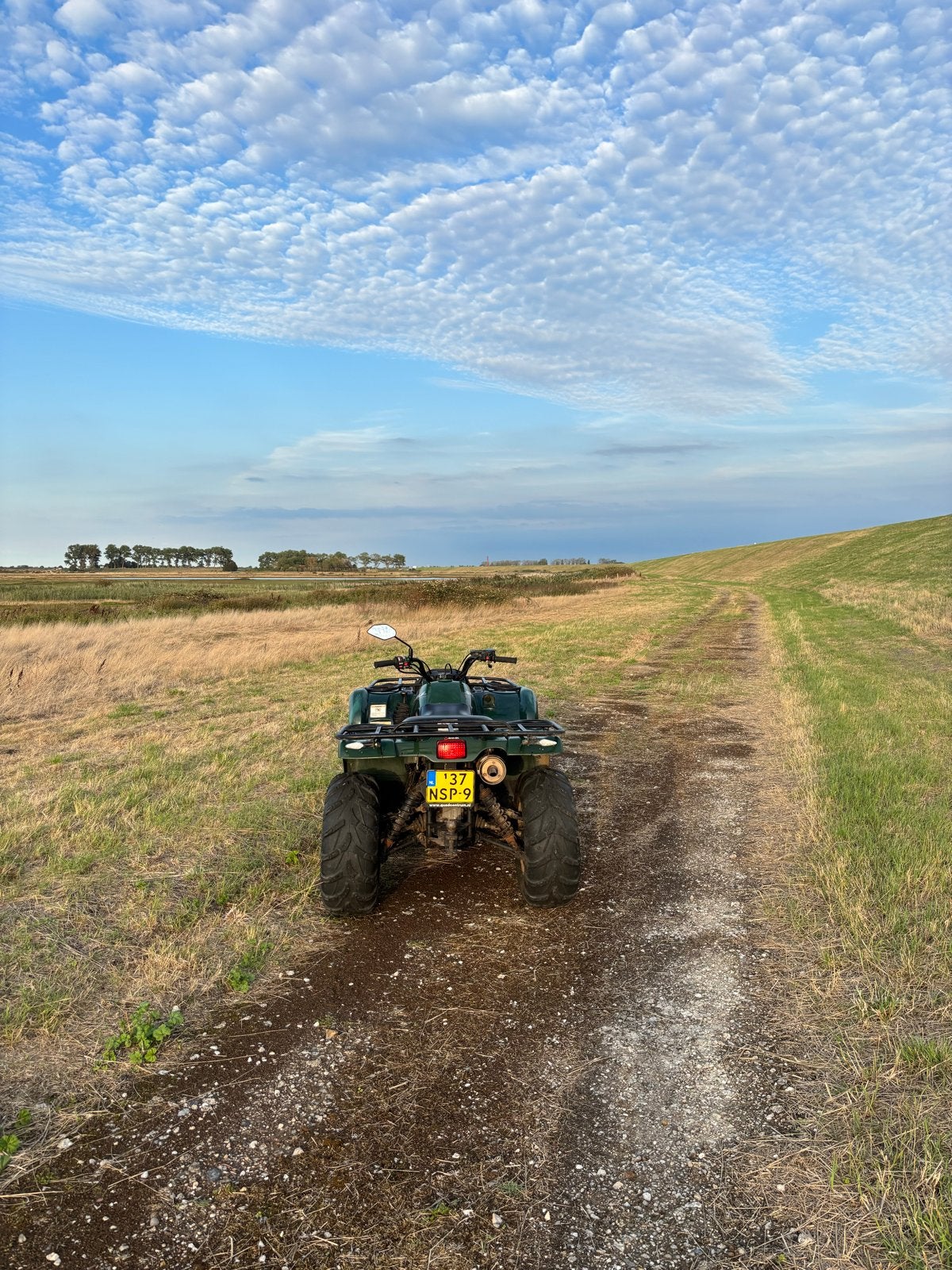 Yamaha Grizzly 450 - Start en rijdt goed, nieuwe banden/accu, 1 cilinder, 12 t/m 35 kW