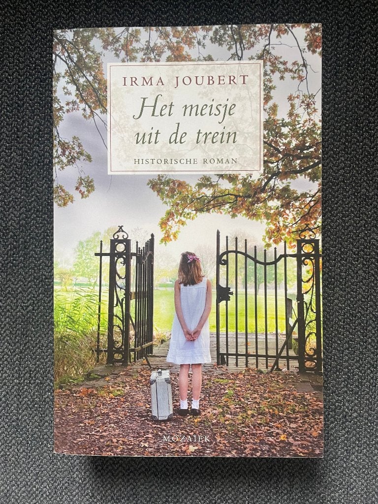 Het Meisje Uit De Trein door Irma Joubert, Boeken, Ophalen of Verzenden, Gelezen, Irma Joubert
