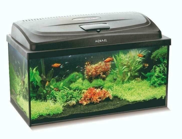 voordelige aquaria, compleet met ledverlichting, Dieren en Toebehoren, Ophalen of Verzenden, Nieuw, Leeg aquarium