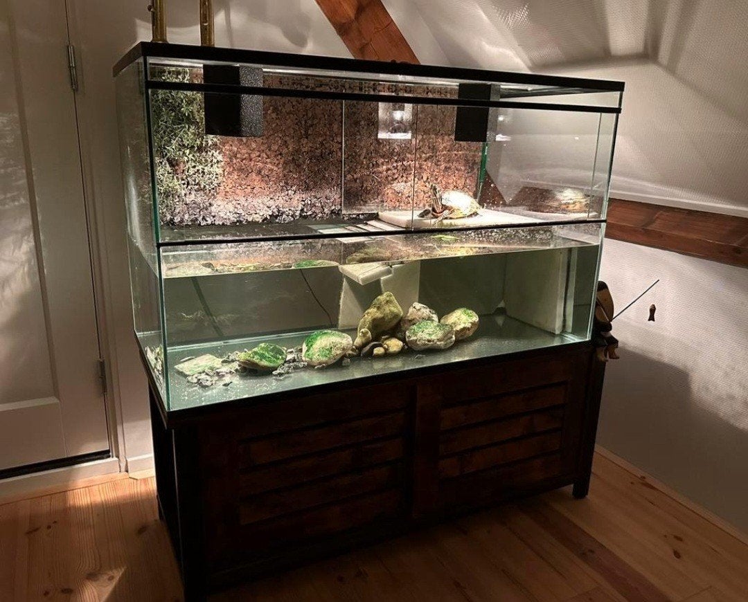 aquarium / terrarium exclusief design, Dieren en Toebehoren, Ophalen