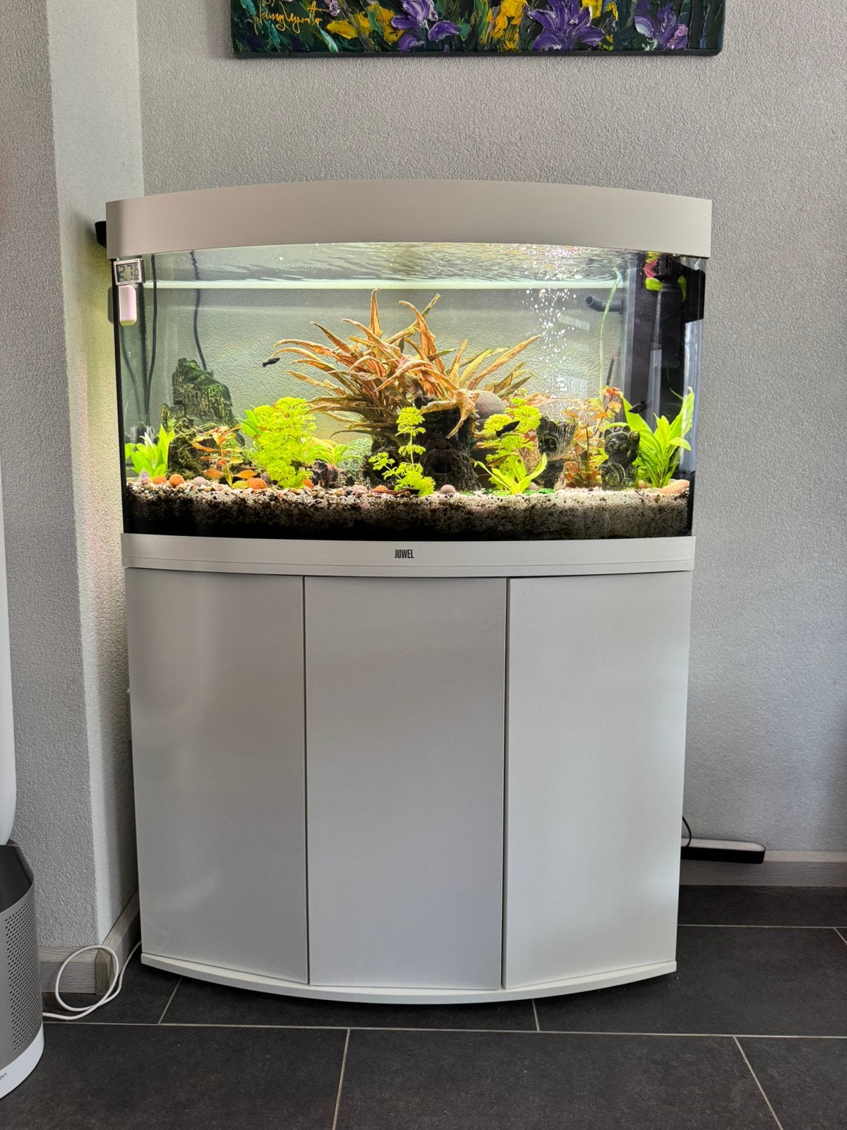 Aquarium Juwel Vision 180 liter met onderkast wit + alles, Ophalen, Gebruikt, Inclusief vissen, Gevuld zoetwateraquarium
