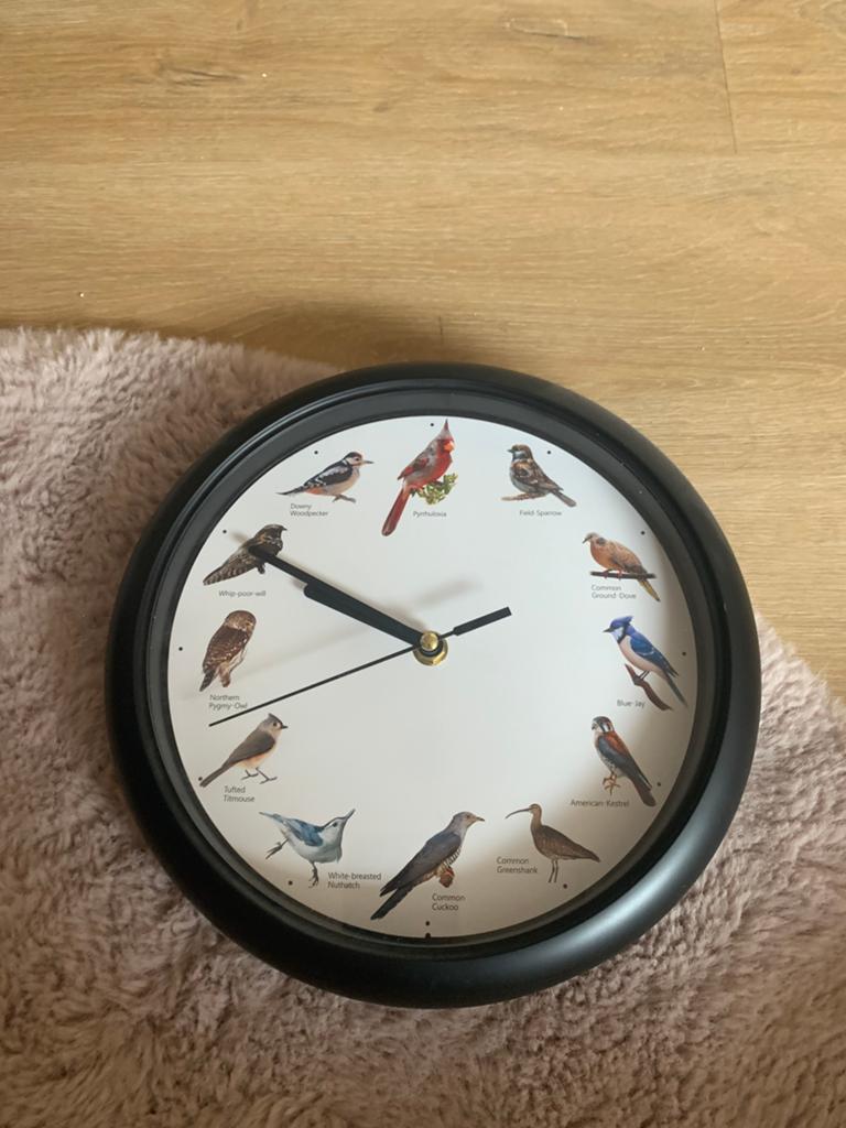Klok met vogelgeluiden, Ophalen of Verzenden, Zo goed als nieuw, Wandklok