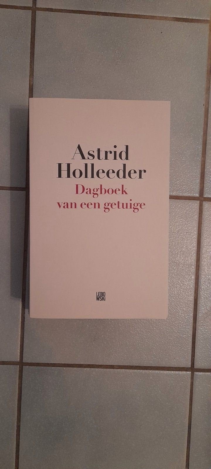 Dagboek van een getuige Astrid Holleeder, Verzenden, Nieuw, Astrid Holleeder, Overige