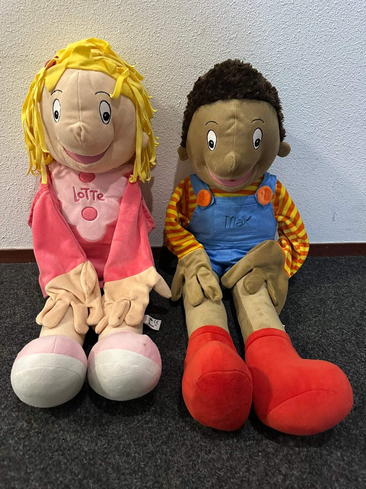 Lotte en max gebaren handpoppen, Boeken, Kinderboeken | Baby's en Peuters, Ophalen, Zo goed als nieuw