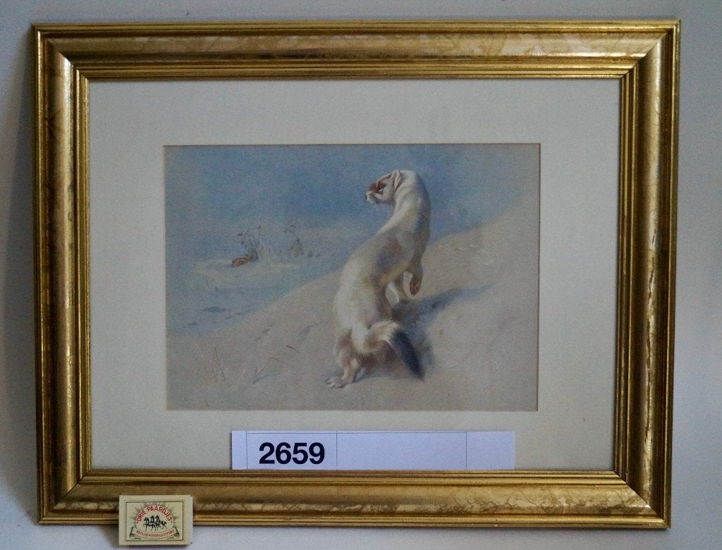 2659 - hermelijn in winterlandschap, Antiek en Kunst, Kunst | Schilderijen | Klassiek, Achter glas, Dieren, Ophalen of Verzenden