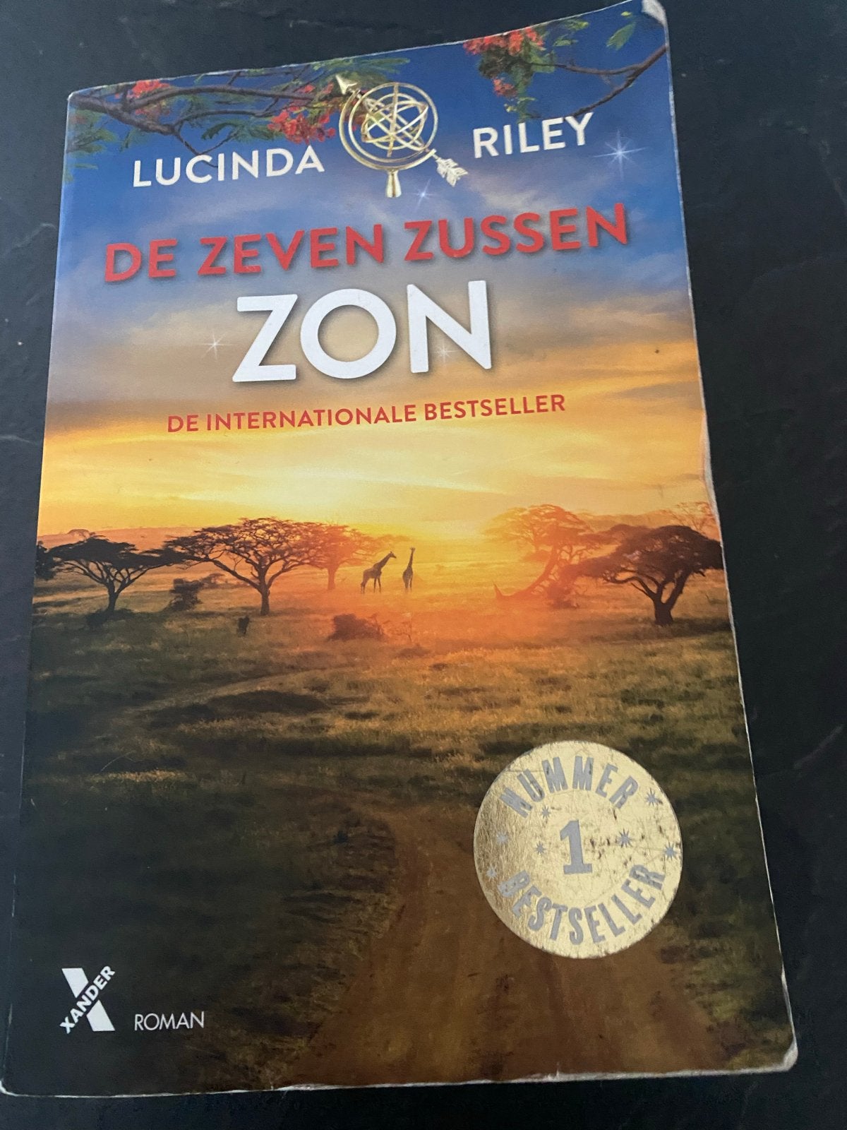 De Zeven Zussen - Zon (Electra) - Lucinda Riley, Boeken, Ophalen of Verzenden, Gelezen