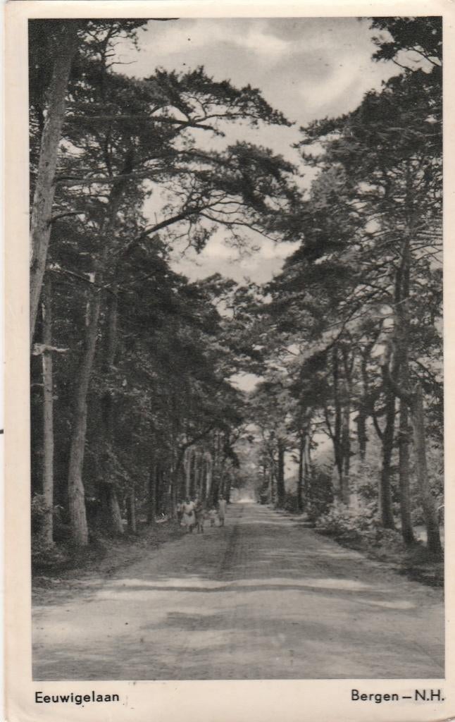 bergen- eeuwigelaan, Ophalen of Verzenden, Voor 1920, Noord-Holland