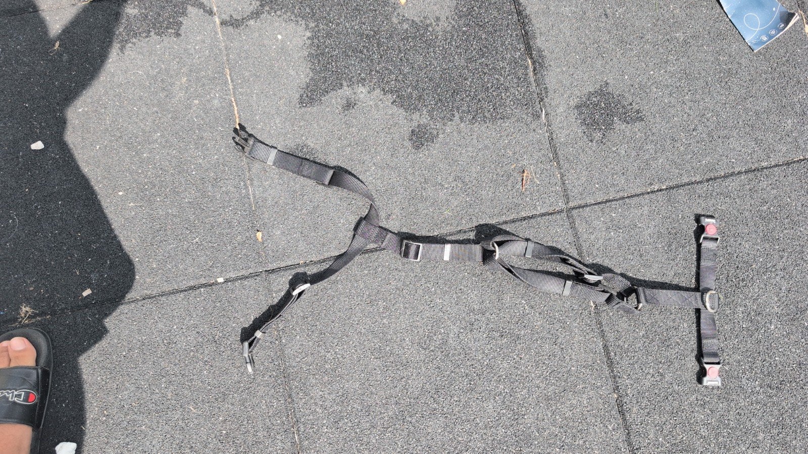 Flamingo Zwart harnas/riem voor hond, Ophalen