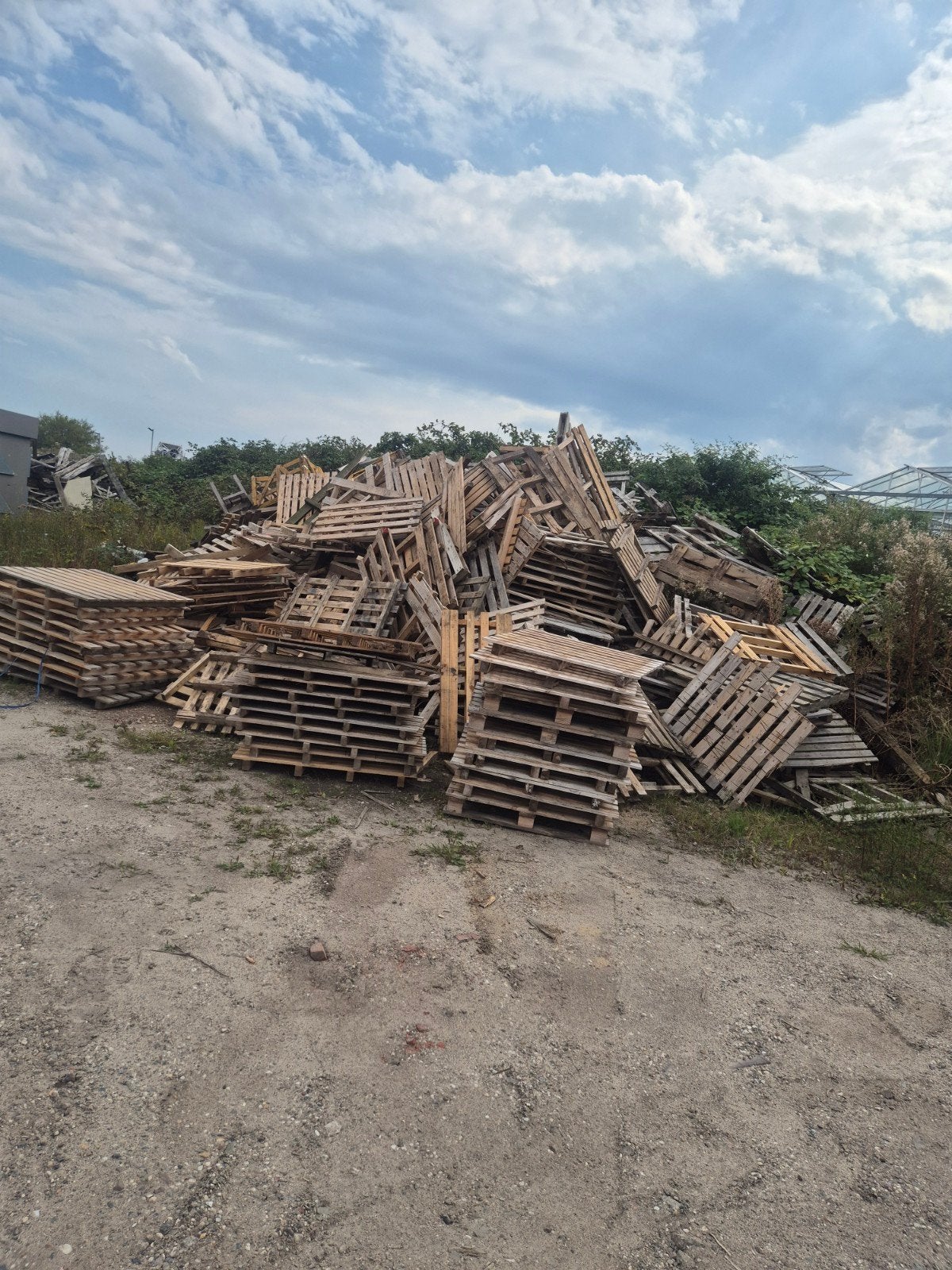 gratis pallets / schoon brandhout, Tuin en Terras, Haardhout, 6 m³ of meer, Ophalen