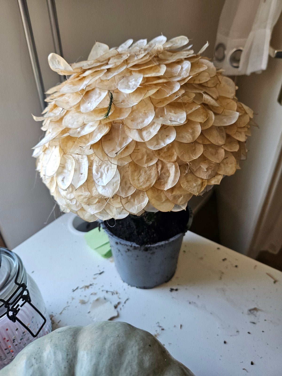 Decoratieve plant met Judaspenning bladeren, Beige, Nieuw, Ophalen of Verzenden, Landelijk