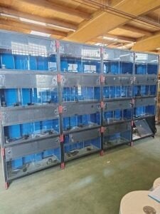 Jarathana aquarium stelling 400 cm Alu-serie, Ophalen, Nieuw, Leeg aquarium
