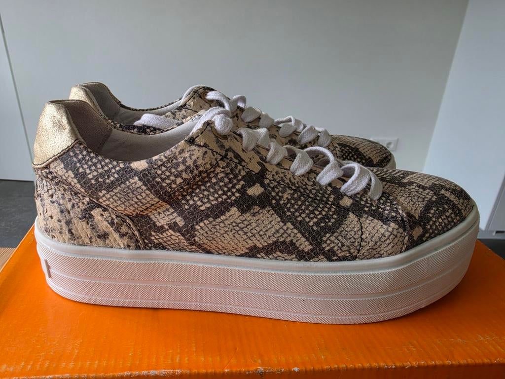 Gympen print maat 40 5,00, Ophalen of Verzenden, Nieuw, Wit, Sneakers of Gympen