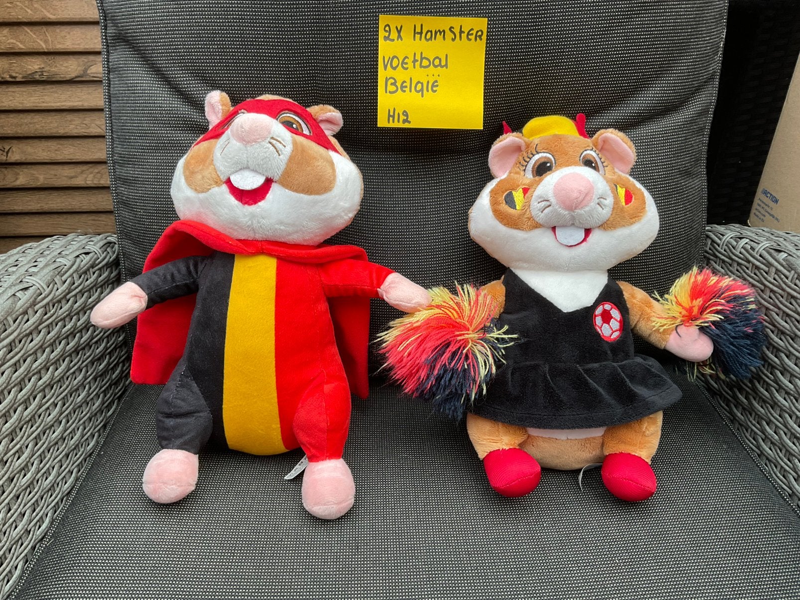 2 nieuwe zgan Belgische voetbal hamsters Albert Heijn, Verzamelen, Albert Heijn, Ophalen
